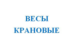 Весы крановые 